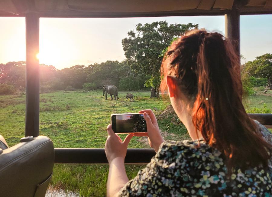 A lady on a safari